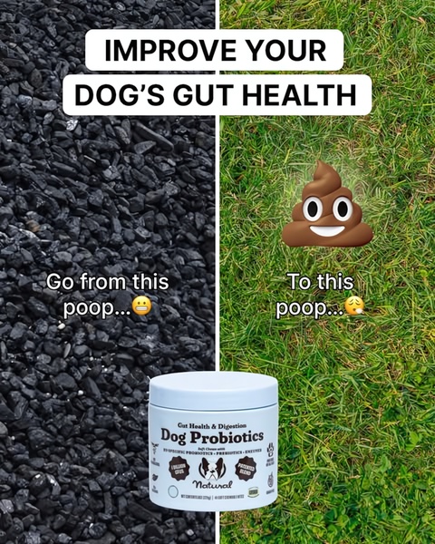 A split-screen educational ad comparing poor digestive health represented by charcoal-like imagery to healthy digestion represented by grass, centered on a product jar.
